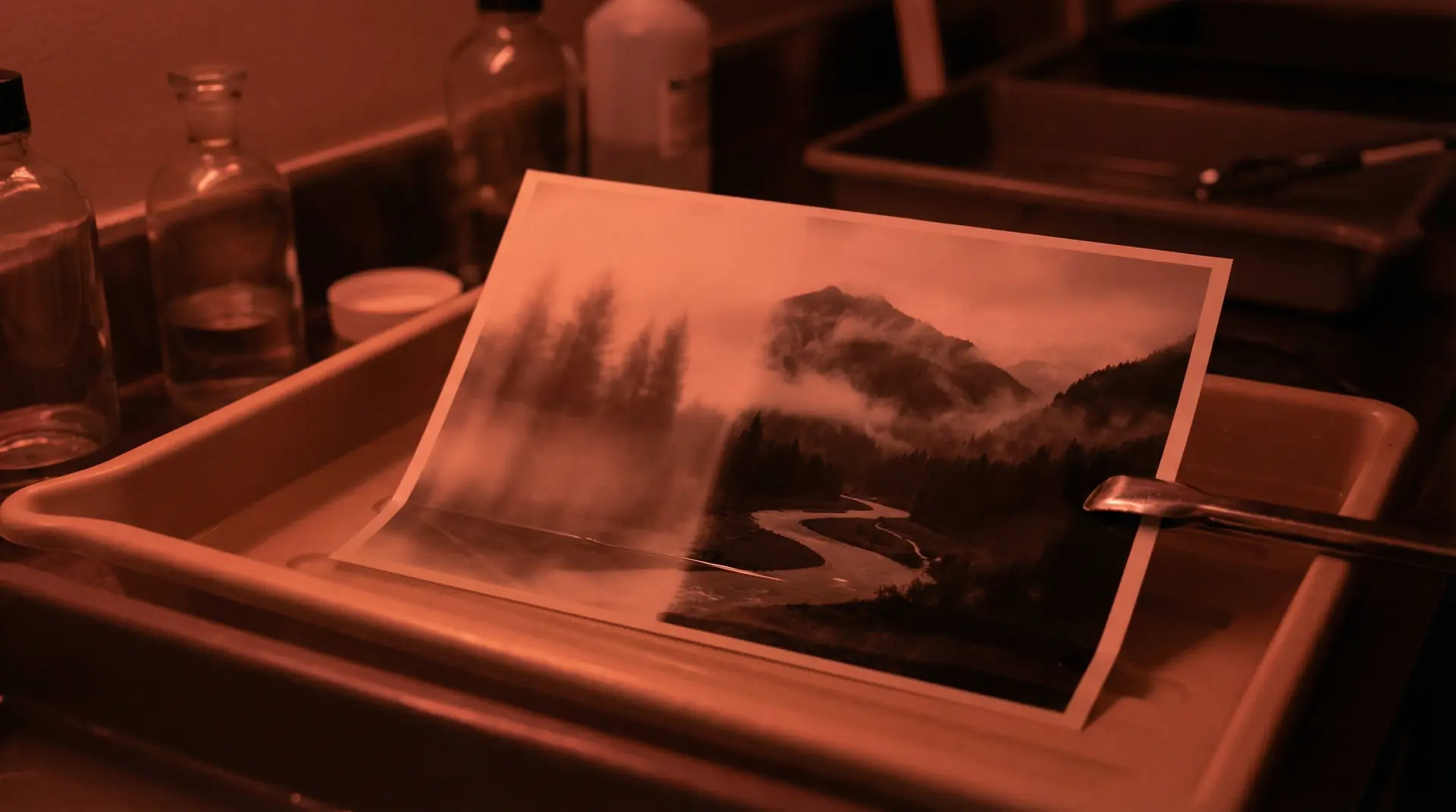 jm天堂 APP下载背景